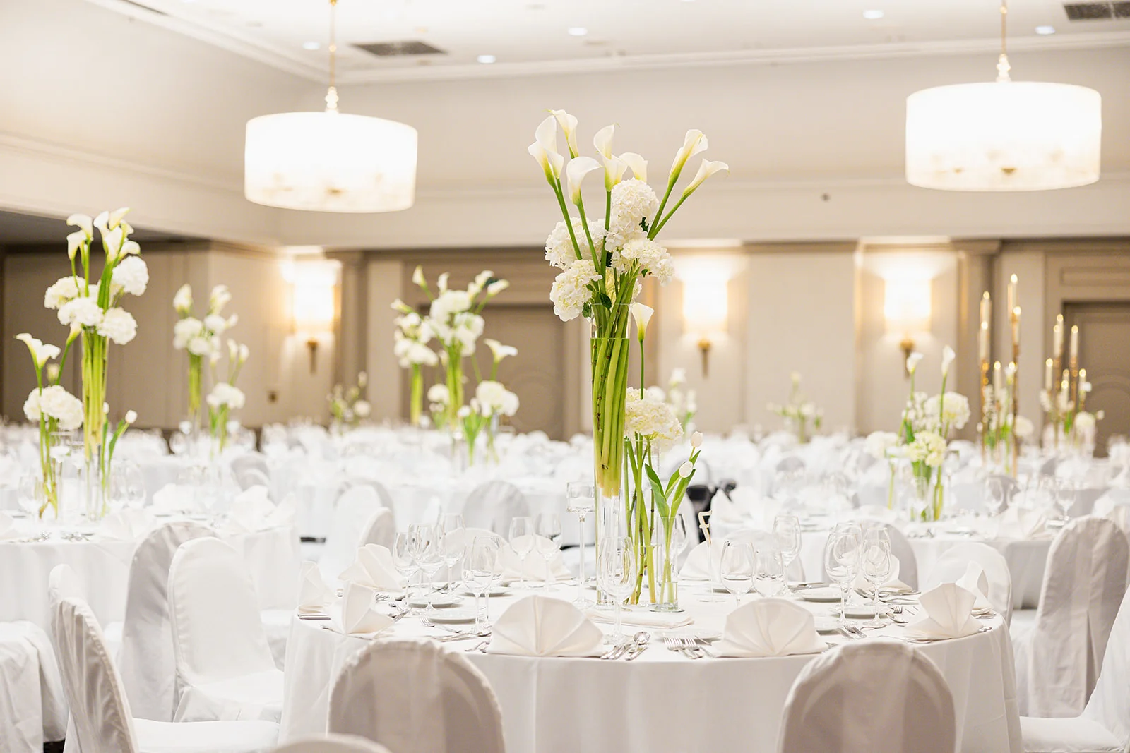 Pollak cvijeće Elegant wedding hall at Sheraton Zagreb Hotel
